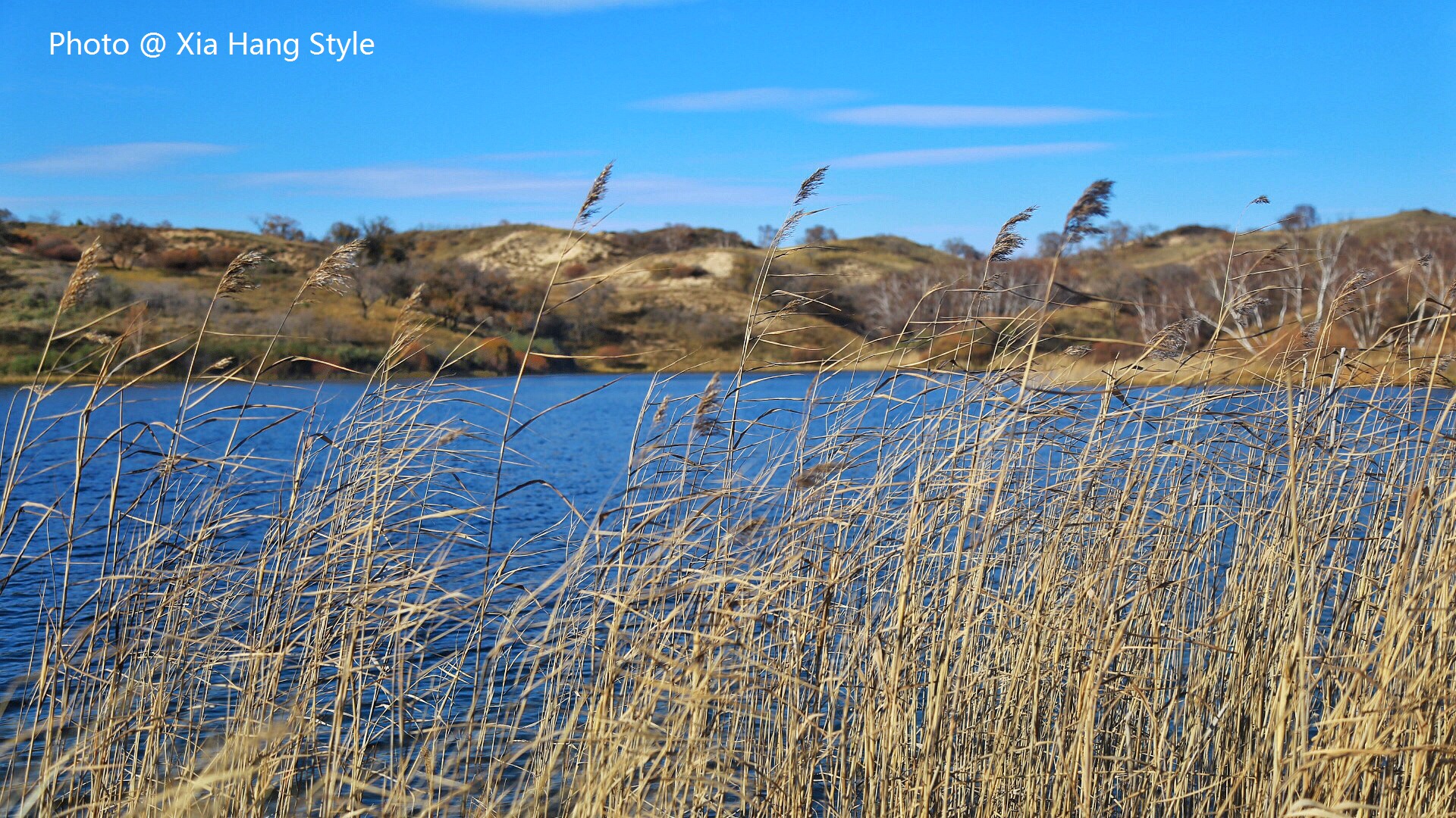 唐古拉山的凄美爱情故事,一段凄美的蒙古爱情故事