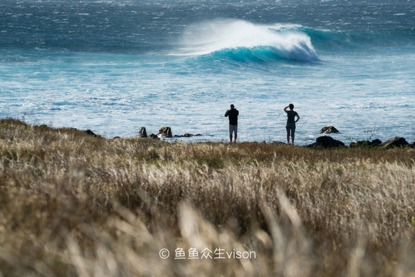 传说中的金银岛1993,金银岛宝藏传说是真的还是假的
