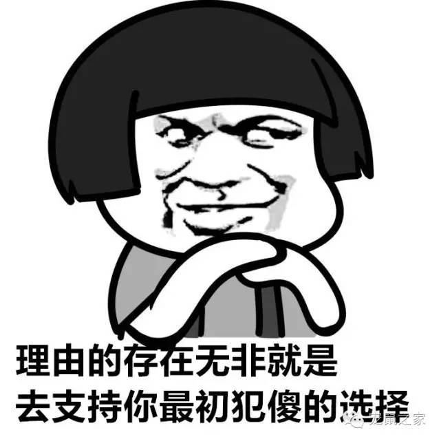 豚鼠各类饲养装备优缺点汇总之上篇