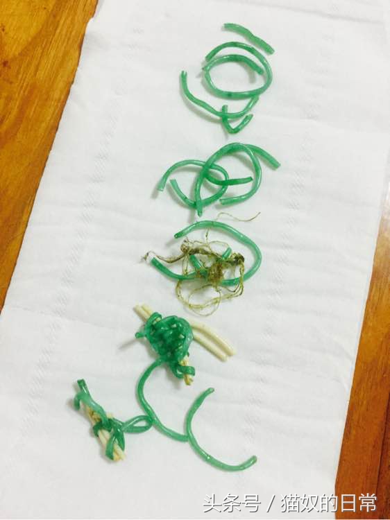 猫咪吃了一根塑料绳,我家猫咪吃了巧克力会怎么样