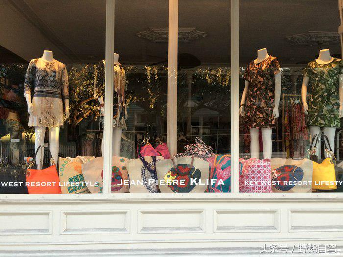 野鹅旅行,野鹅自驾无人区