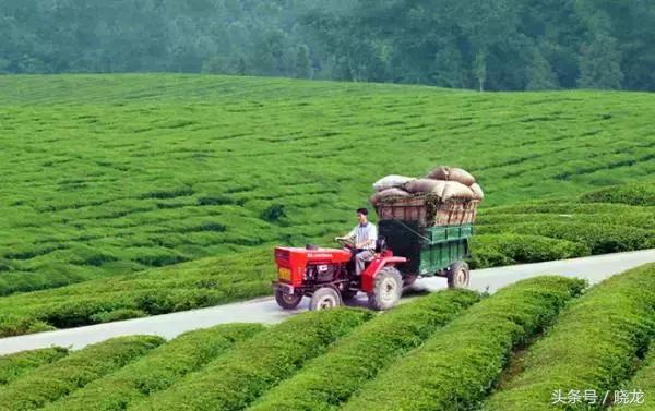 农村养殖种植与三农创业致富项目,40-50岁创业项目适合农村的