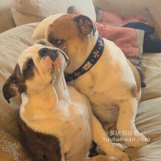 搞笑动态图：人见人爱的小萝莉