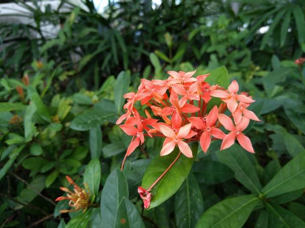 努比亚z60ultra夜景拍照测评对比,努比亚z60ultra长焦拍照测试