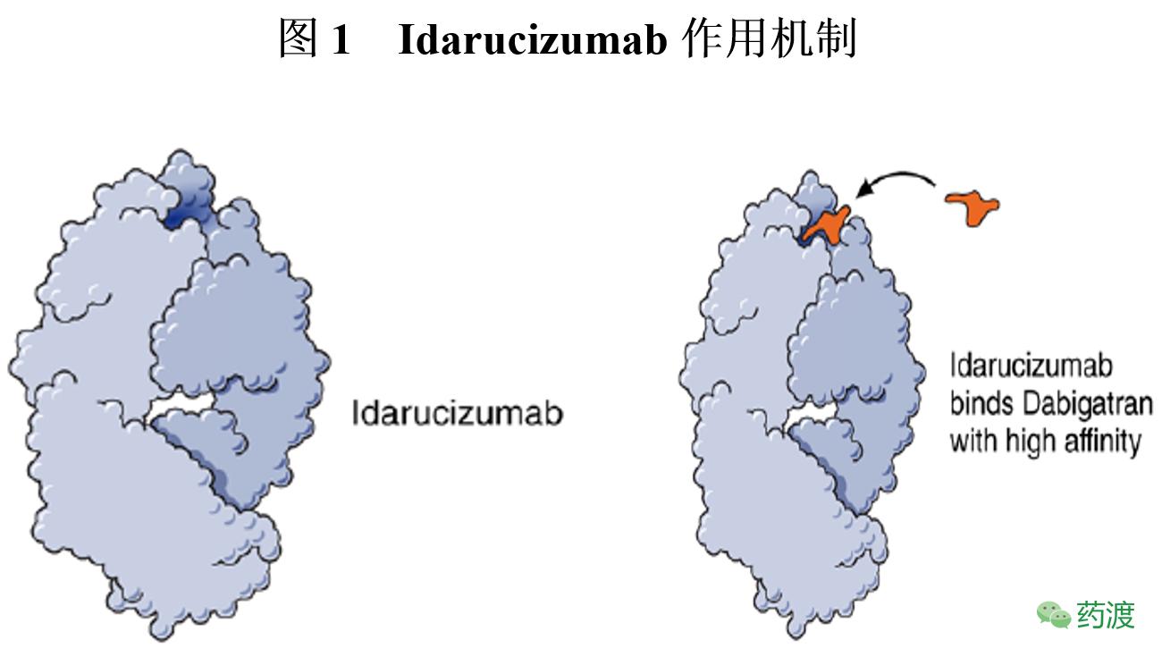 有矛就有盾一物降一物,有矛有盾吗