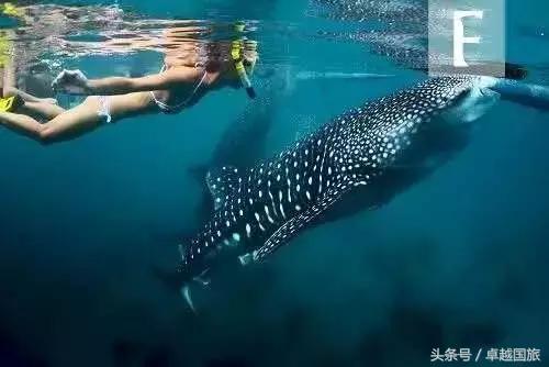 菲律宾小众海岛,菲律宾的海岛旅游