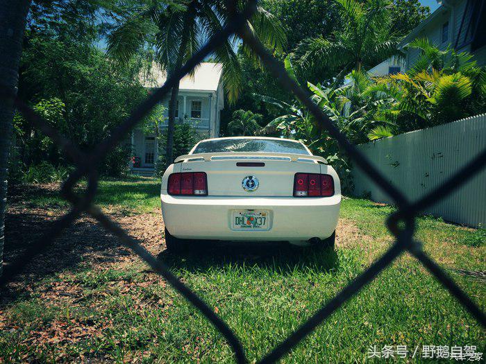 野鹅旅行,野鹅自驾无人区