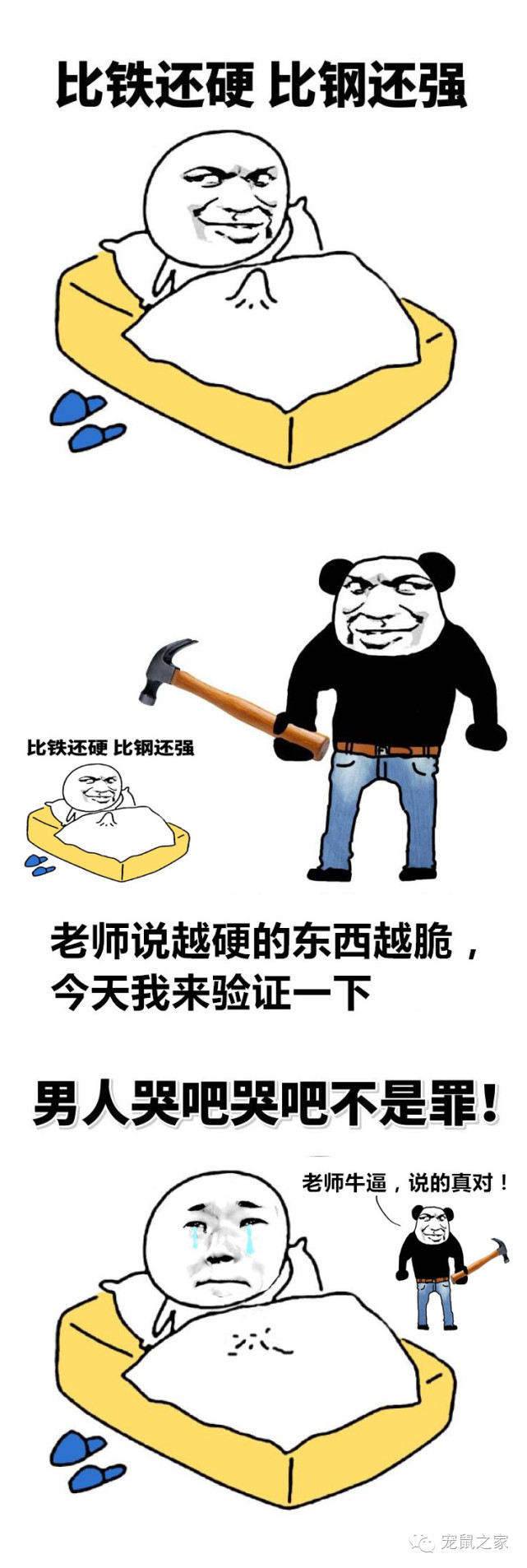 豚鼠各类饲养装备优缺点汇总之上篇