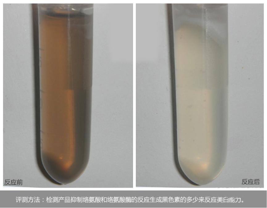 兰蔻赫莲娜skii哪个好,雅诗兰黛和兰蔻赫莲娜