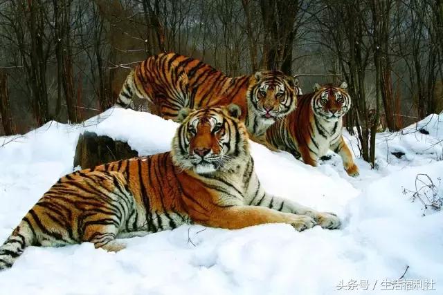 什么能够代表哈尔滨,哈尔滨代表人