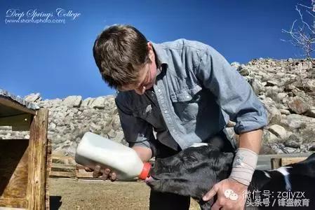 比哈佛还难进的大学——深泉学院(家长们都来学习一下吧)