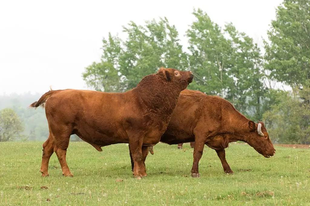 认识和识别质量问题,认识真假物品