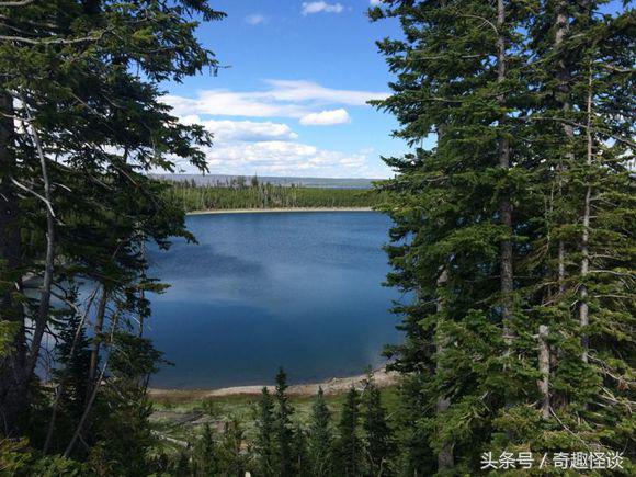 在美国旅游视频教学,美国自由行自驾游