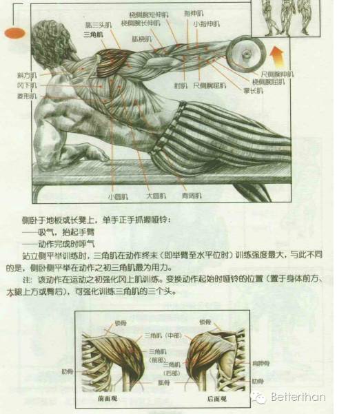 最全哑铃教学,手臂哑铃肌肉训练10个动作图解