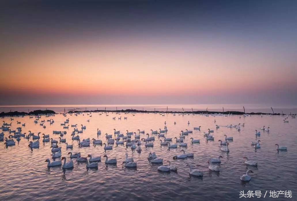 鍝佸懗鐢熸椿涔嬮亾,鍝佸懗鐢熸椿鎰熸偀浜虹敓鍝茬悊