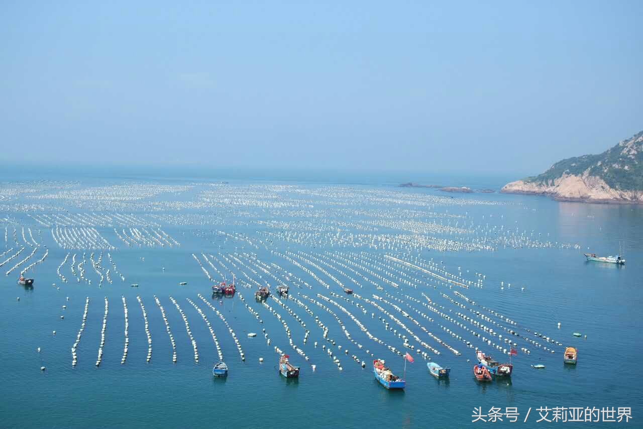 生活不止杯中的枸杞还有诗和远方 (生活不止有诗和远方 还有枸杞)