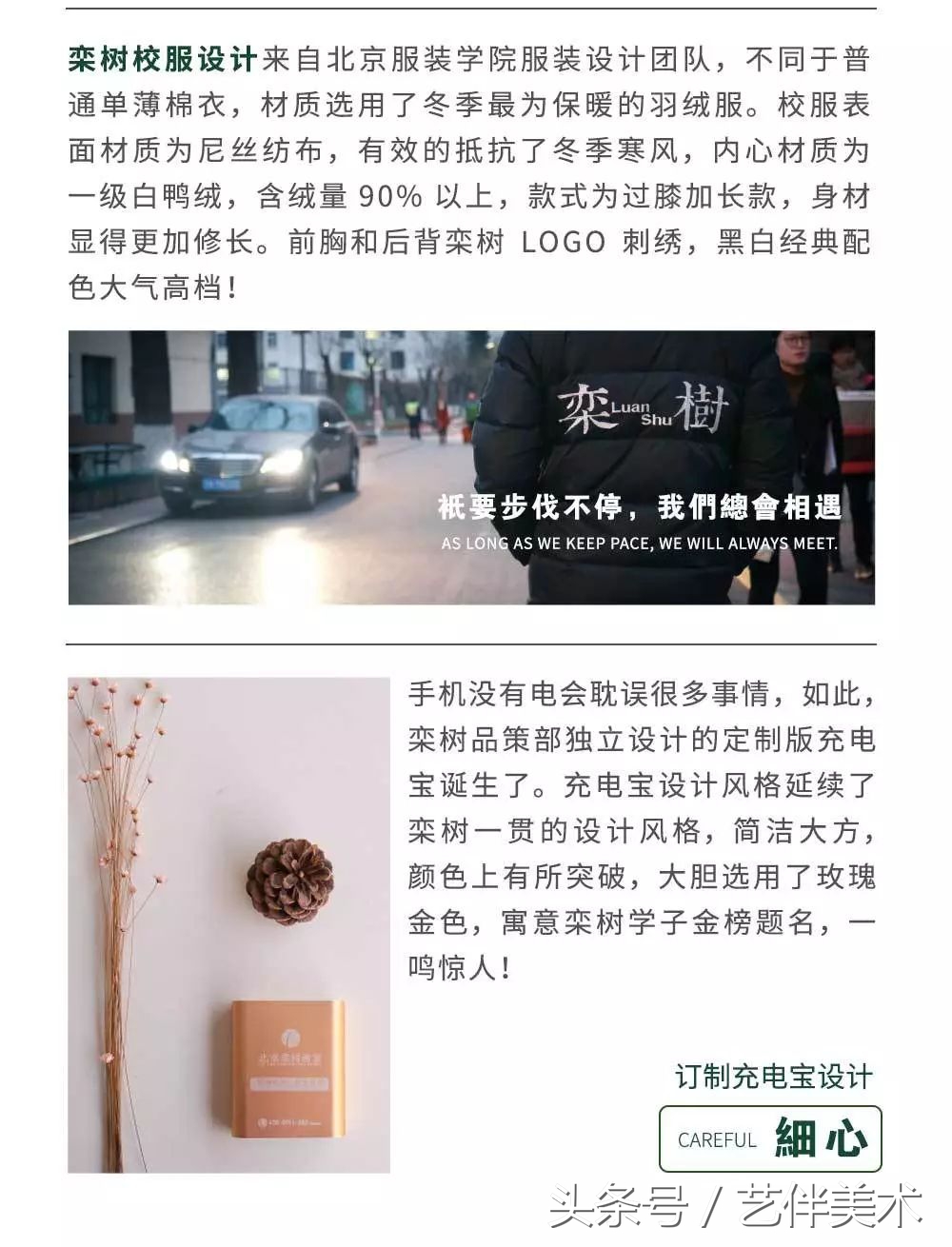 栾树画室北京,栾树画室