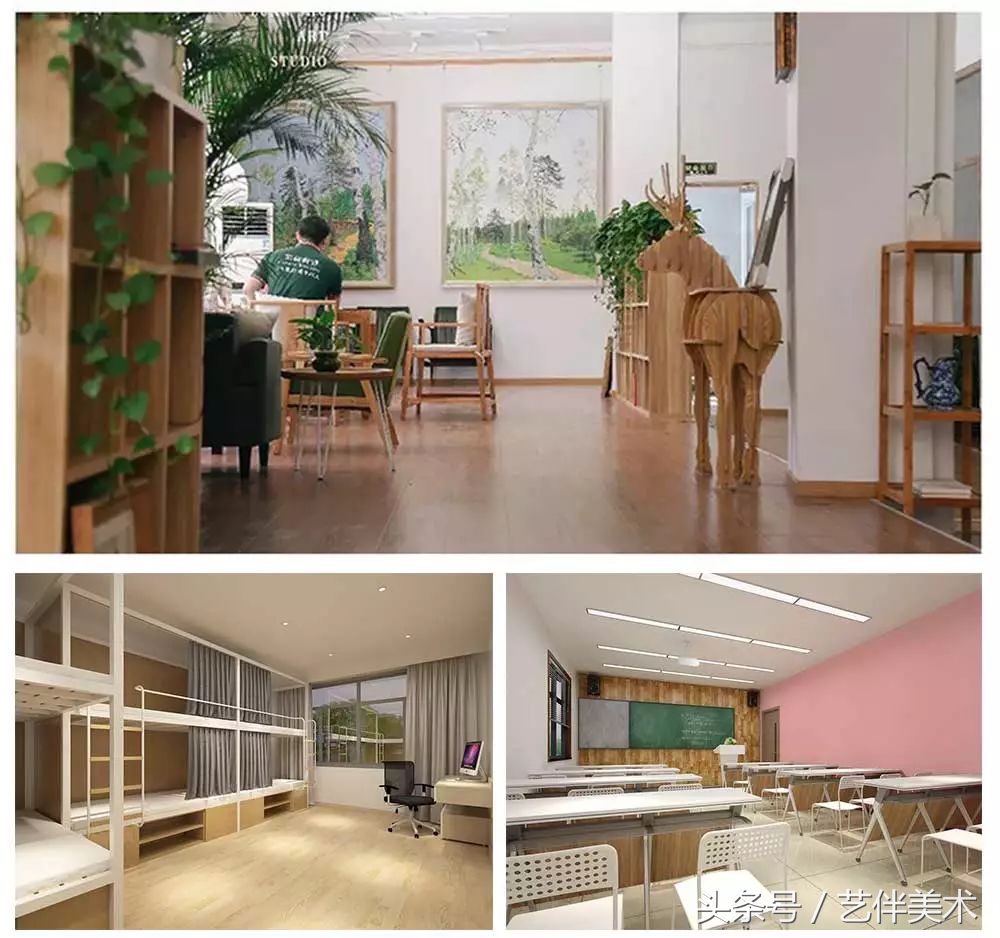 栾树画室口碑怎样,栾树画室地址在哪里