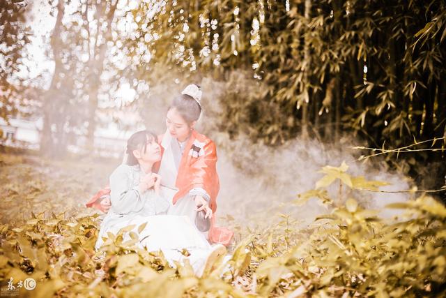 小说家家庭,小说家孤独终老