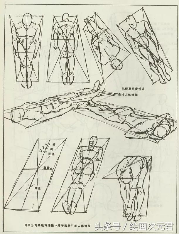 人体结构怎么画？教你如何绘画人体动态的技巧！