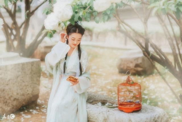 小说有空间什么意思,小说有空间系统