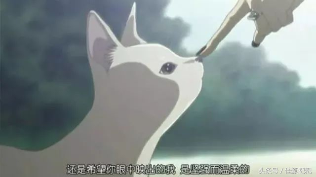 一个人过情人节,情人节要怎么过的有意义