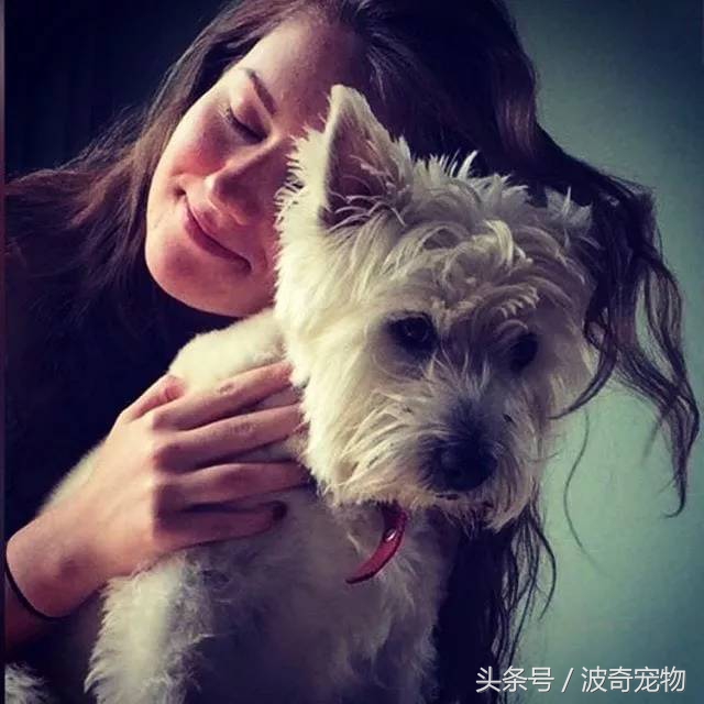 狗狗和你亲的几个表现,当你和你家的狗对视