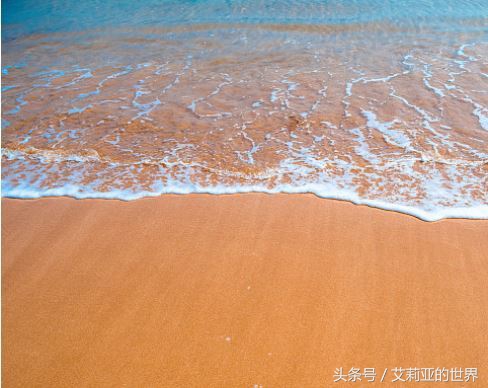 生活不止杯中的枸杞还有诗和远方 (生活不止有诗和远方 还有枸杞)