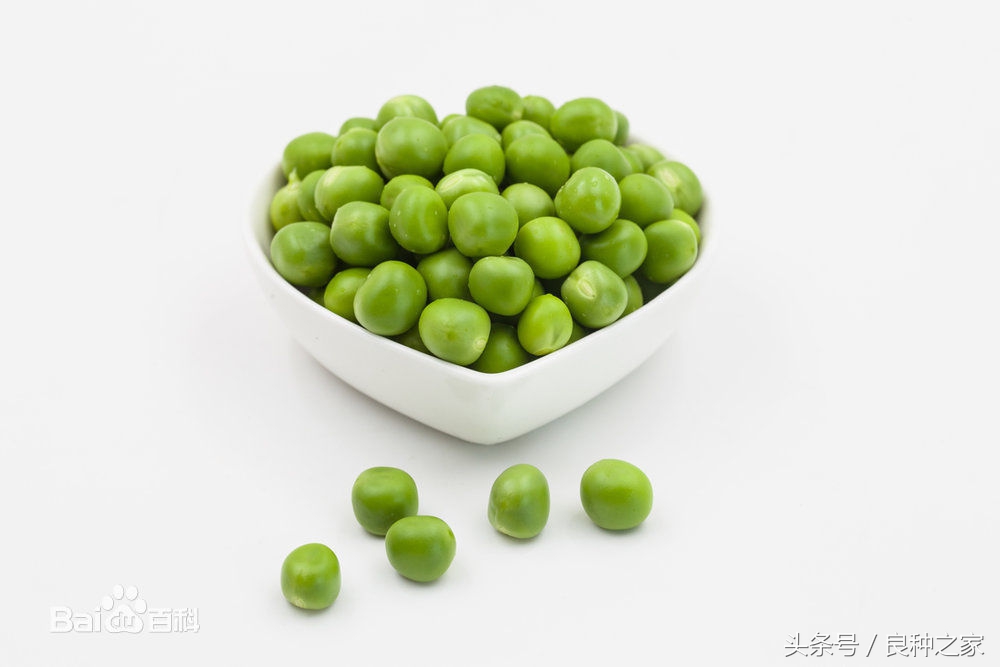 餐桌上常见的本土作物是什么,10种常见的粮食作物