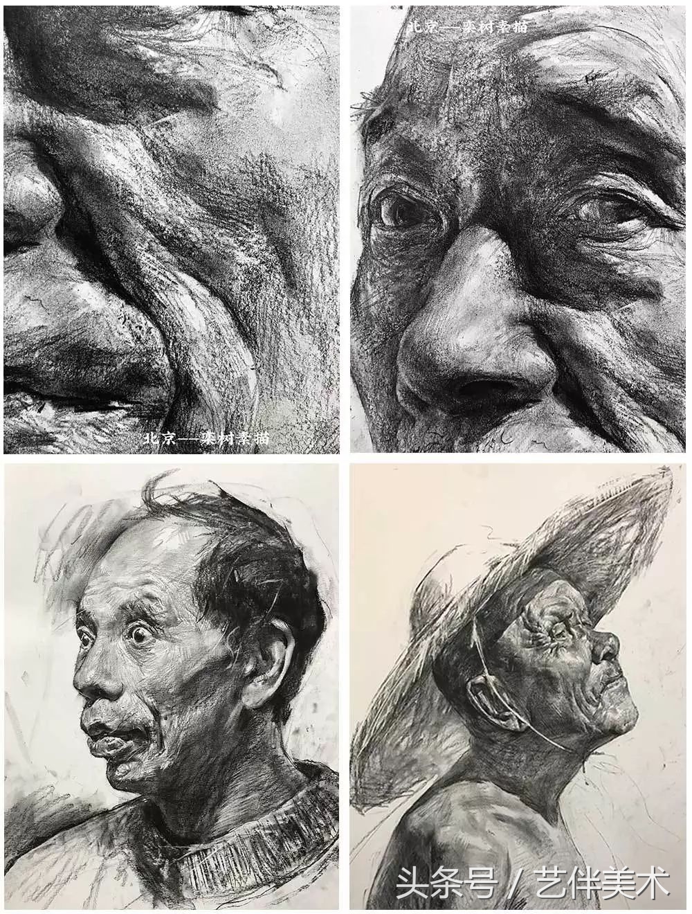 栾树画室——2020届招生简章北京必看画室之一