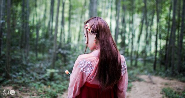 小说：她出府被人一见钟情，对方追查她身份，不料对方刚退她婚