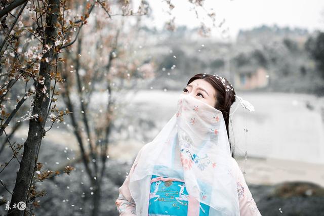 小说：四皇子最没地位，被宫人当猪狗对待，可王爷偏选中他要扶持