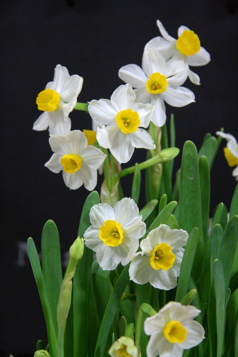 致自己的人生感悟句句都是忠告,致自己的人生感悟语录短句