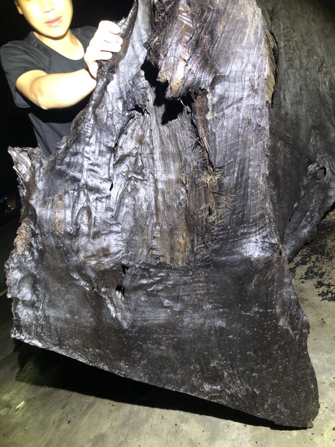 男子捡到一个黄金狮子找专家鉴宝,鉴宝大妈拿一幅武松打虎图来鉴宝