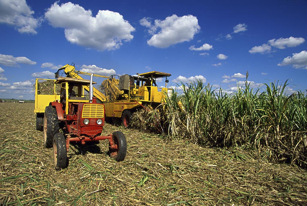 古巴还算社会主义国家吗,古巴是真正的社会主义国家吗