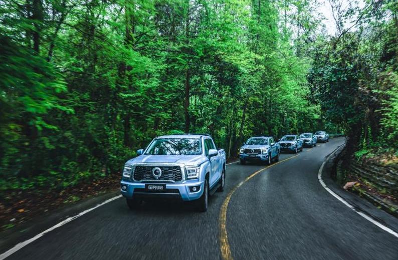 价钱低皮实耐造省油的皮卡车型,该如何选择长城皮卡