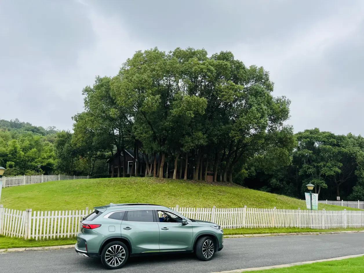 星途凌云和q5哪个驾驶感受更好,新款星途凌云对比老款