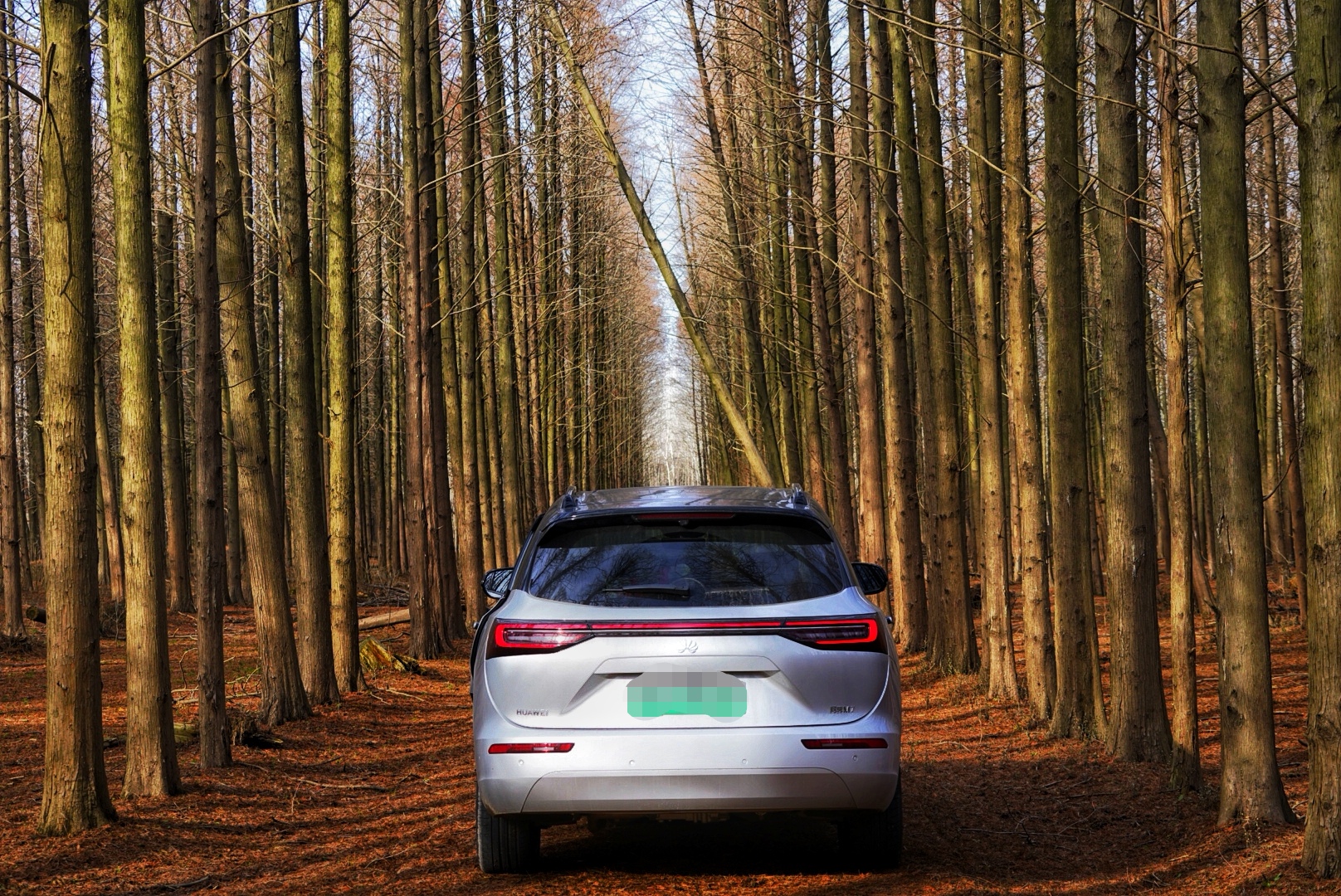 问界m7后驱plus6座版和智驾max6座,新问界m7车主用车感受