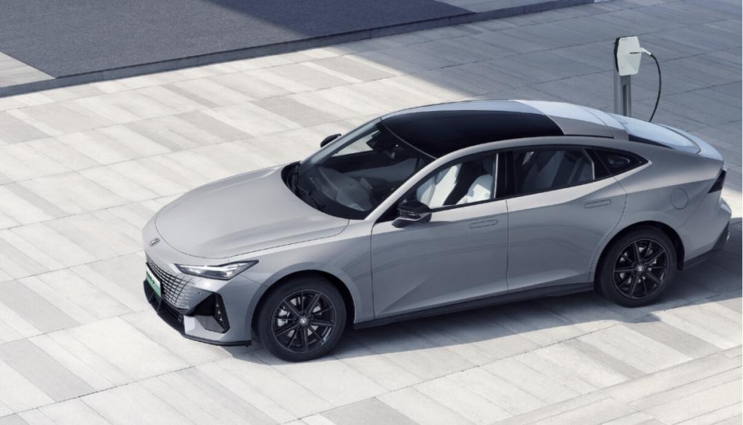 六眼飞鱼梁静茹,梁静茹勇气里面的六眼飞鱼