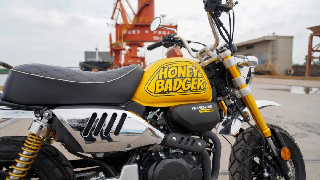 银钢蜜獾150动力,鲸150和蜜獾150哪个油耗小