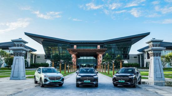 魏牌拿铁dht-phev超大杯值得购买吗,魏牌拿铁dht与dht-phev怎么选