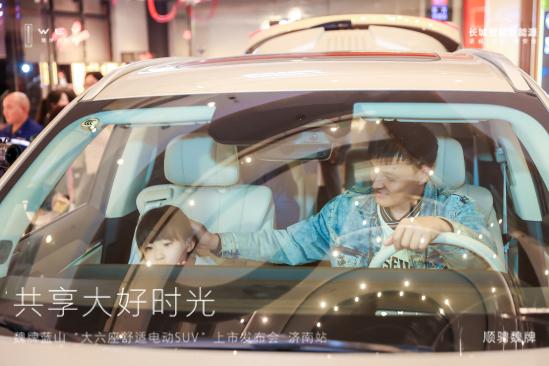 魏牌蓝山降价多少入手合适,2024款魏牌蓝山纯电续航