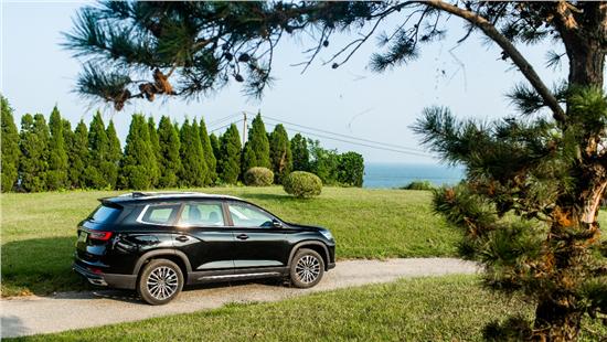 4s店购置税减半订车会留名额吗,购置税全免和现金优惠二选一