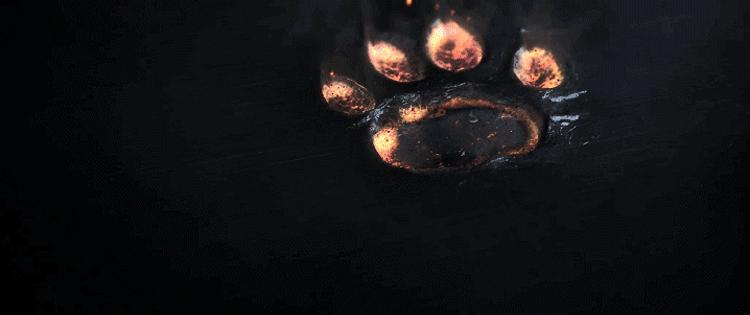 408X萌宠生活街区首秀，带着你的毛孩子快来加入吧～