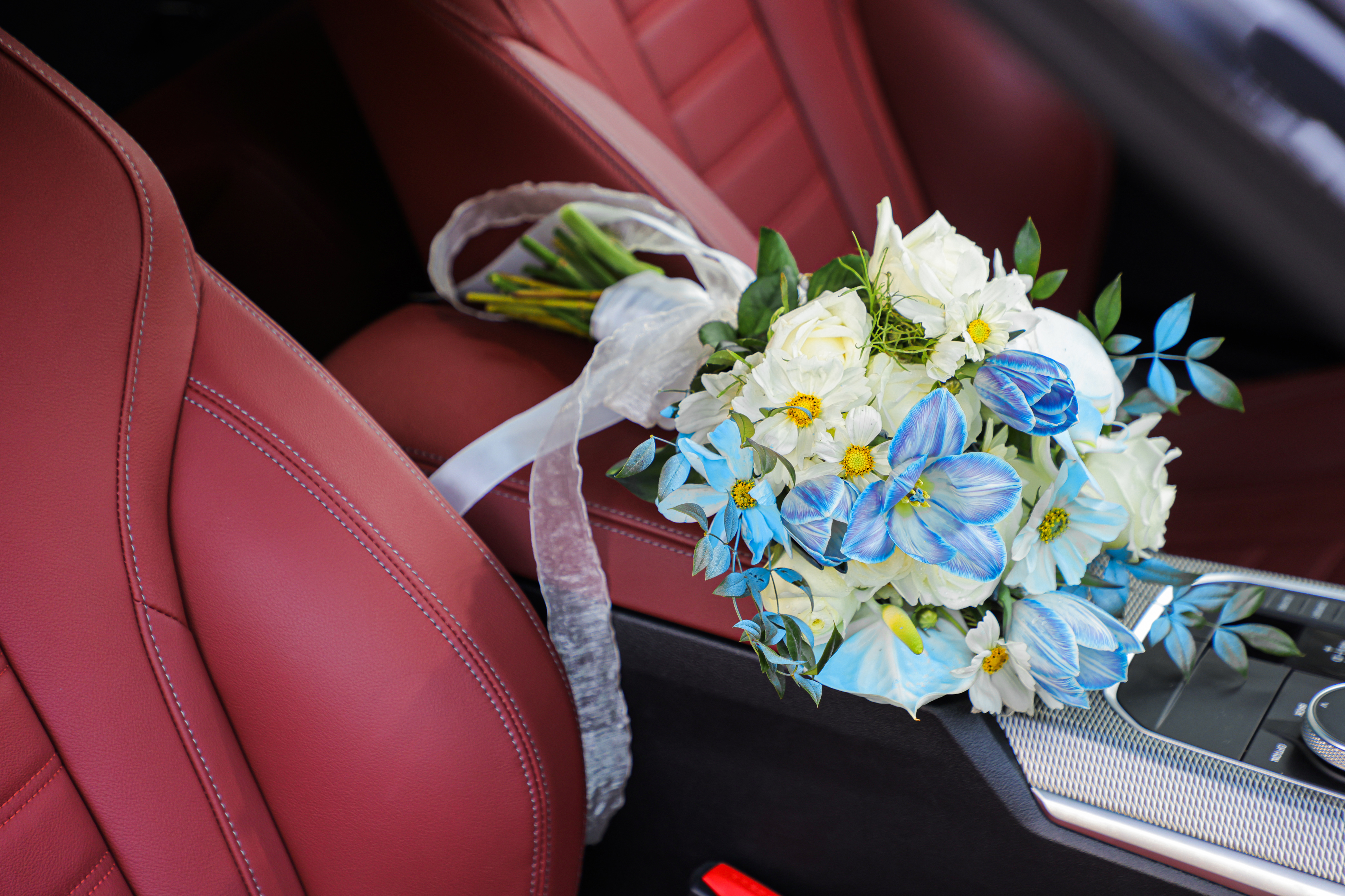 悦然驭风，因你心动南京宝利丰STYLISH车型潮尚派对