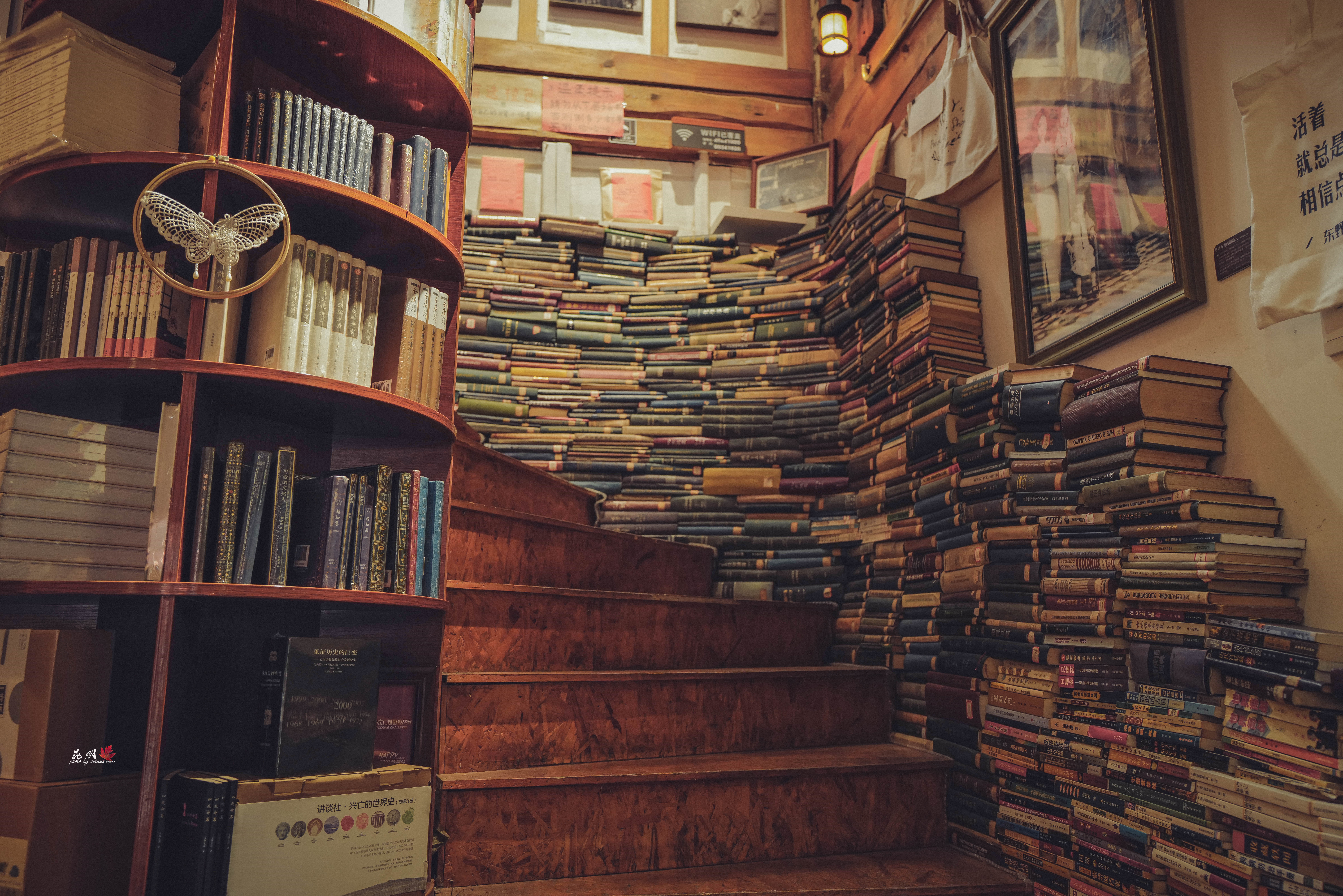 哲学家诊治一个问题，就像诊治一种疾病