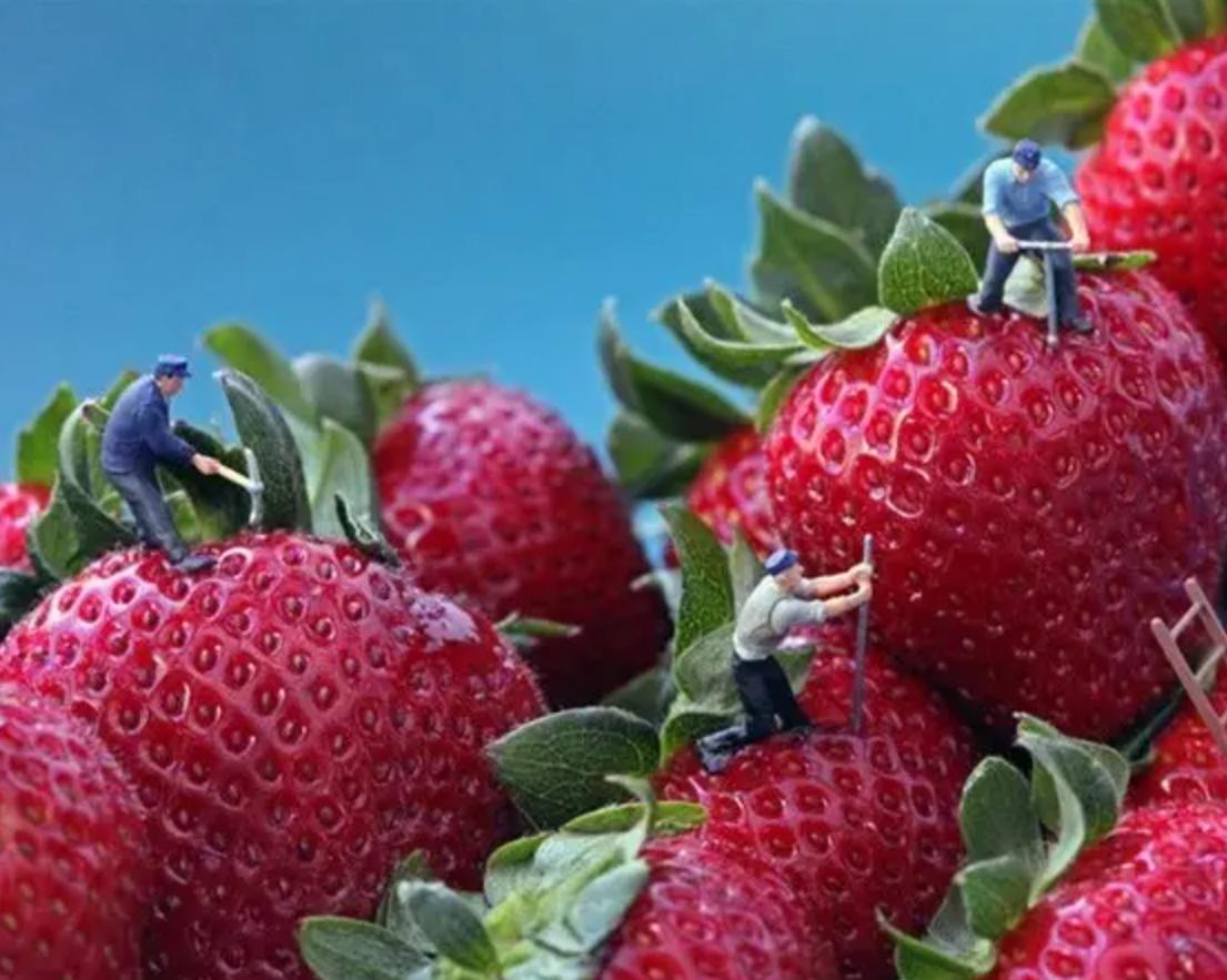 论酒的保值性,论酒的价值