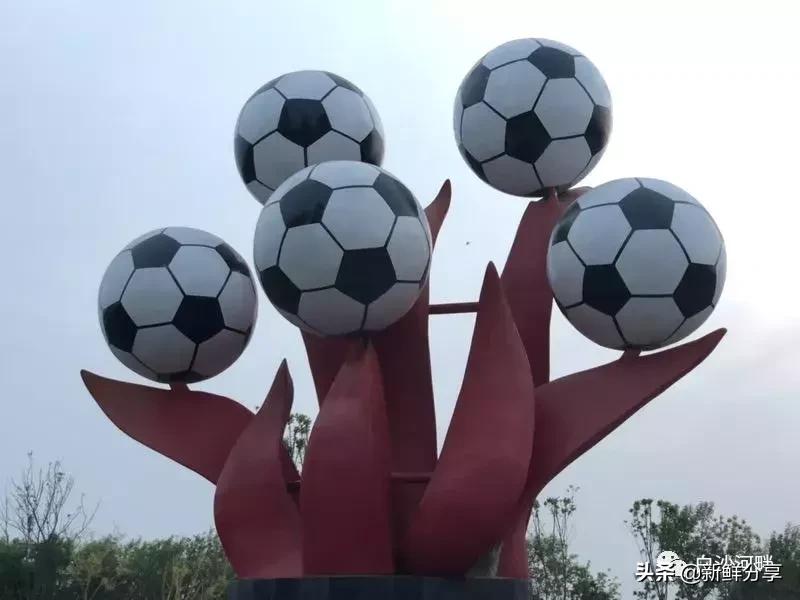 白沙湾足球基地比赛,2016哥德杯青少年足球赛开幕式