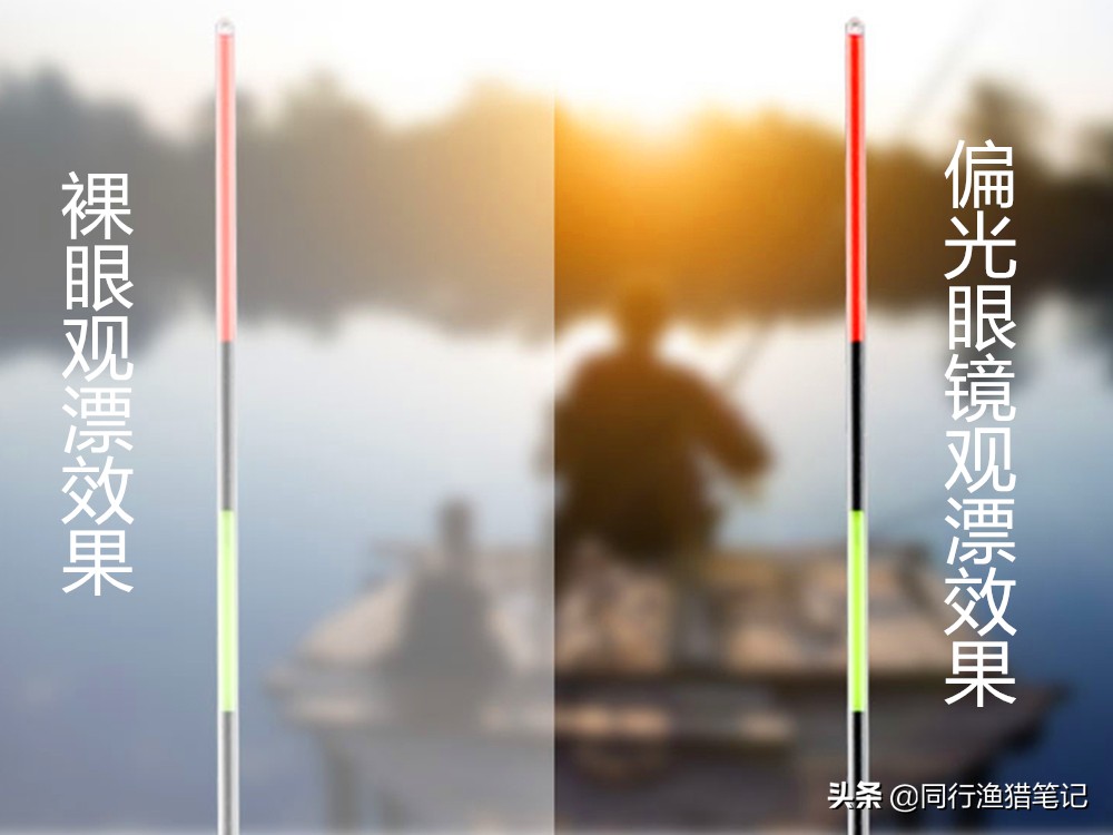 钓鱼人为什么戴偏光镜,偏光镜和太阳镜哪个适合钓鱼