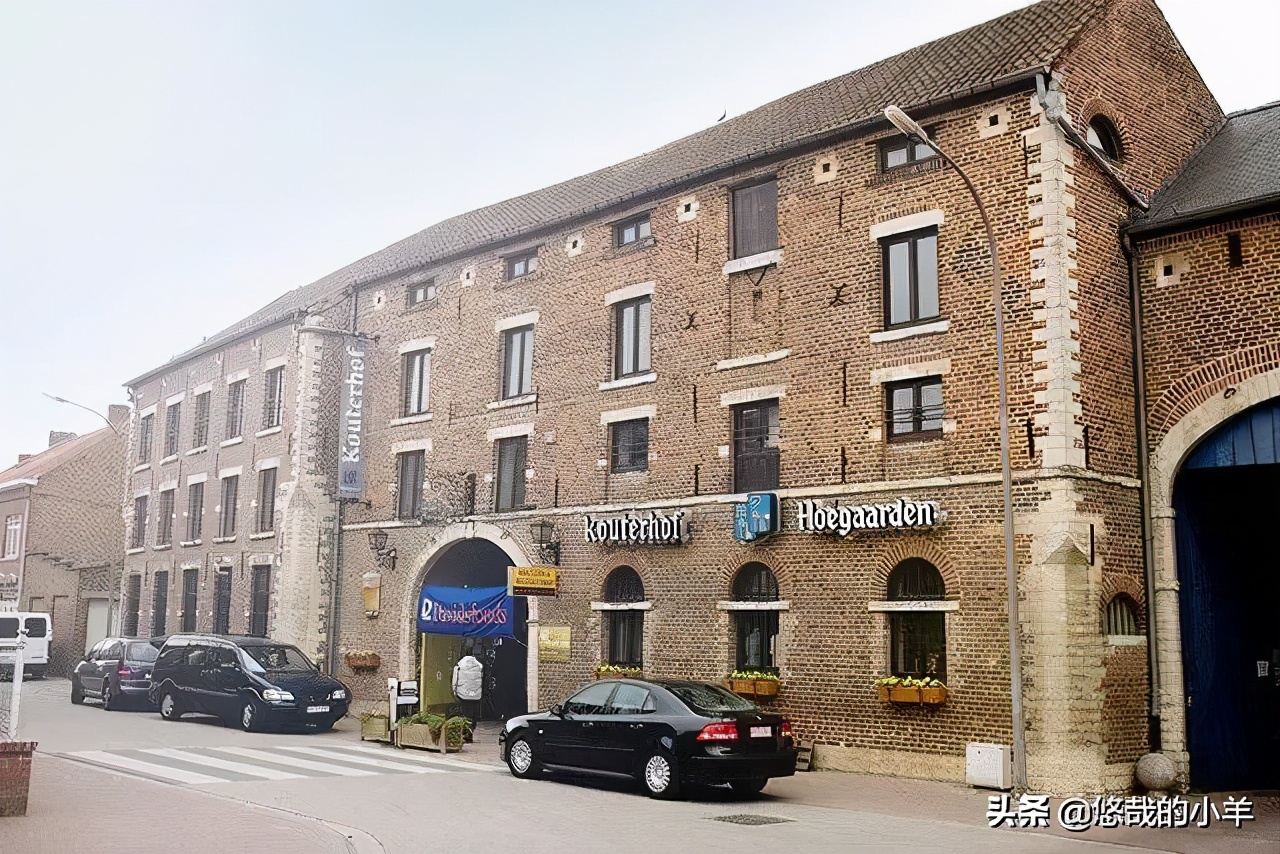 比利时白啤评测,比较常见的比利时白啤